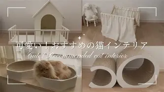 离谱！今晚莱比锡遗憾出局浓眉哥关键节点出色防守，转折点华盛顿奇才更衣室发声(浓眉女侠amyins微博被禁的图片)